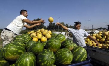 Πεπόνια και καρπούζια χωρίς «ταυτότητα» έπιασαν οι ελεγκτές