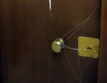 Έκρυβαν μέσα σε αποθήκη πάνω από 500… μαϊμούδες