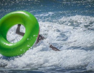 Κι ανεβαίνει… – Θερμοκρασίες καύσωνα το Σαββατοκύριακο