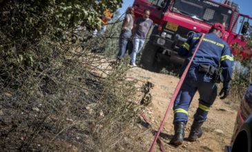 Ζακυνθος: Πυρκαγιά στο χωριό Άγιο Κήρυκος