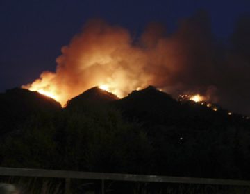 Καίγονται Κινέτα, Ραφήνα, Νέος Βουτζάς και Μάτι – Άγρια νύχτα