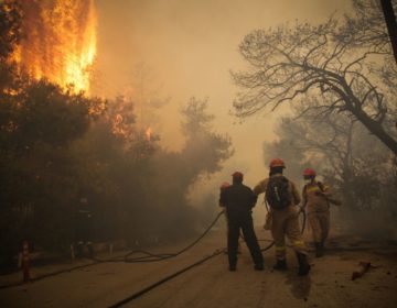 Ανεξέλεγκτα τα μέτωπα σε Κινέτα και Αν. Αττική