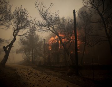 Μαζική εκκένωση στην Κινέτα εξαιτίας της φωτιάς – Έκλεισε η Εθνική Οδός
