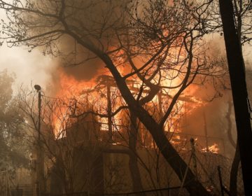 Στέλνουν στρατό στο μέτωπο της φωτιάς στην Κινέτα