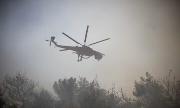 Πυρκαγιά σε αγροτοδασική έκταση στο Άγιον Όρος