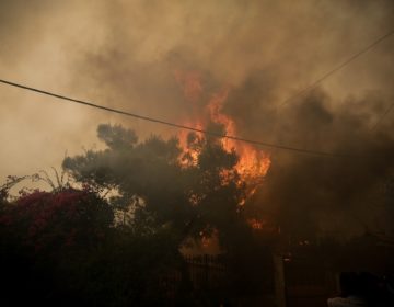 Φωτιά καίει στα Χανιά