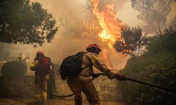 Πυρκαγιά στο Μάτι: Τι αναφέρει η εισαγγελική πρόταση