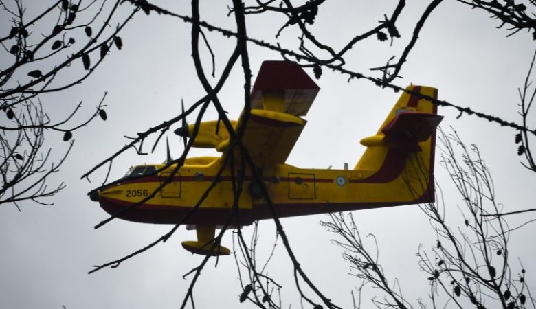Πυρκαγιά στη Ρόδο απείλησε ένα από τα τελευταία «παρθένα» δάση της