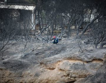 Καθηγητής ΕΜΠ: Δεν είναι μόνο το Μάτι, η Ελλάδα είναι γεμάτη αυθαίρετα