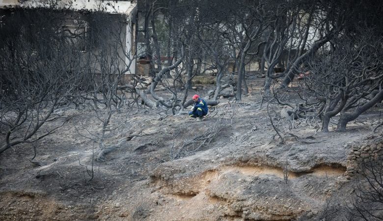 Καθηγητής ΕΜΠ: Δεν είναι μόνο το Μάτι, η Ελλάδα είναι γεμάτη αυθαίρετα