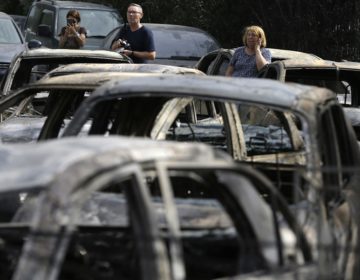 Φοροαπαλλαγές και παρατάσεις για τους πληγέντες των πυρκαγιών