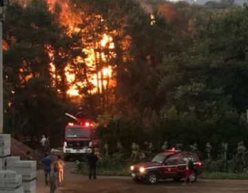 Τι προβλέπει το σχέδιο αντιμετώπισης δασικών πυρκαγιών