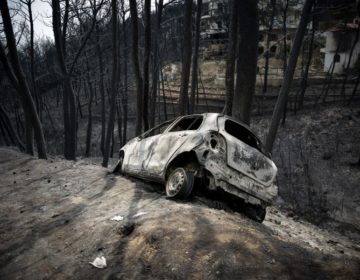 Ειδικός ερευνητής πυρκαγιών: Ο πιο θανατηφόρος παράγοντας είναι ο άνεμος