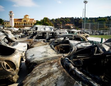 Αναστολή πλειστηριασμών ζητούν οι δικηγόροι για τους πυρόπληκτους