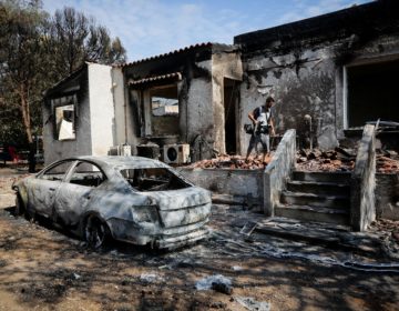 Λέκκας: Αυτά τα αδύναμα σημεία οδήγησαν να γίνουν στάχτη τα σπίτια στο Μάτι