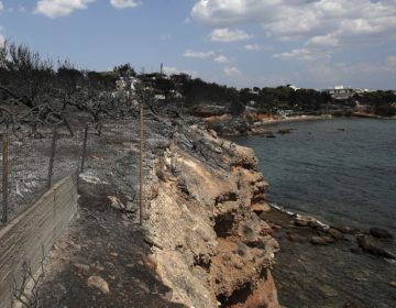 Ο βυθός της θάλασσα στο Μάτι είναι γεμάτος αντικείμενα ανθρώπων