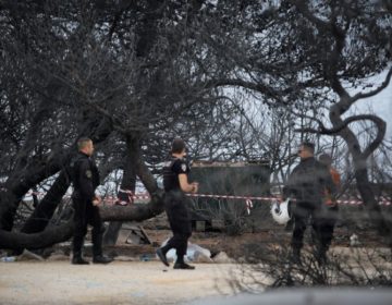 Ρεπορτάζ της Καθημερινής για το πώς ξεκίνησε η φονική πυρκαγιά
