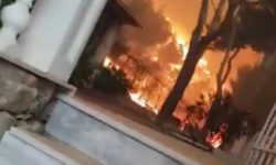Μάτι: «Η φωτιά περίπου από τις 17:30 και μετά απέκτησε δυναμική και έγινε ανεξέλεγκτη»