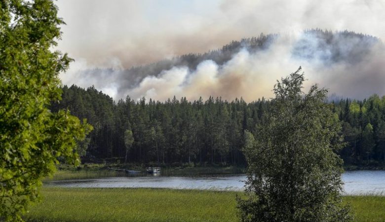 Πολεμικά αεροσκάφη βομβαρδίζουν τις φωτιές στη Σουηδία