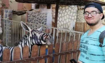 Ζωολογικός κήπος έβαψε με μπογιά γάιδαρο για να μοιάζει με ζέβρα