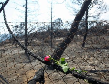 Η Ελλάδα θρηνεί τα θύματα της πυρκαγιάς ανάμεσά τους και τα δίδυμα κοριτσάκια