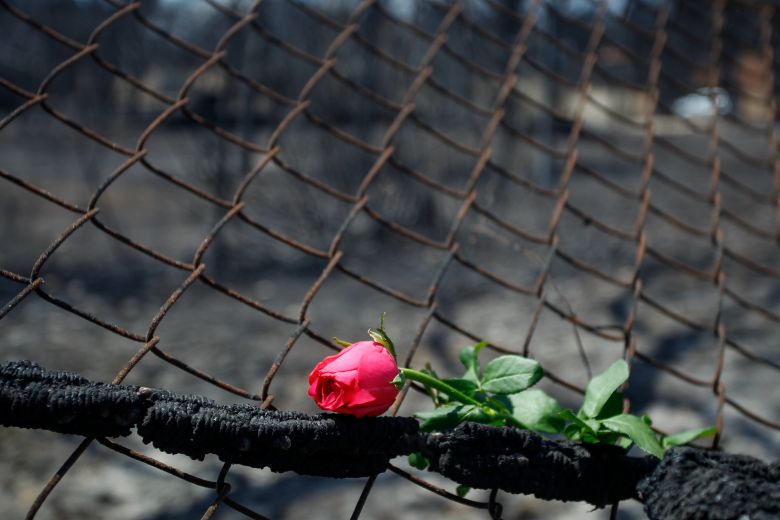 Αποτέλεσμα εικόνας για MATI