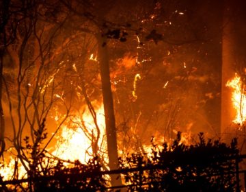 Τη σύσταση δύναμης επέμβασης για πυρκαγιές εξετάζει η ΕΕ