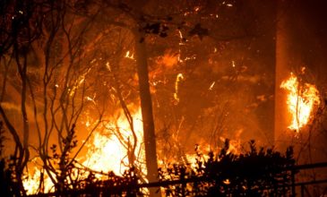 Ποιες περιοχές είναι υψηλού κινδύνου για πυρκαγιά αύριο Παρασκευή