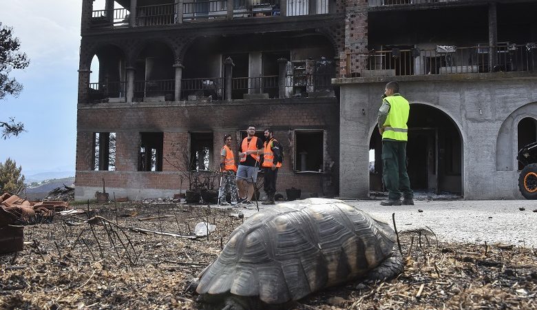 Στο Λύρειο Ίδρυμα ο Προκόπης Παυλόπουλος