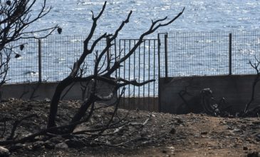 «Το οικόπεδο που κάηκαν οι 27 άνθρωποι ήταν δασική έκταση που καταπατήθηκε»
