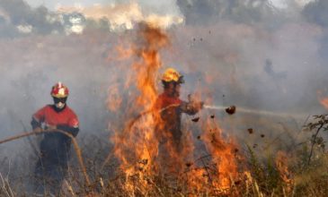 Διάσημο φυσικό πάρκο στην Ανδαλουσία τυλίχθηκε στις φλόγες