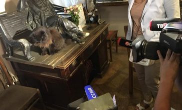 Συναγερμός για τον Μπεγκεμότ – Έκλεψαν το γάτο σύμβολο μουσείου της Μόσχας