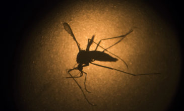 Ιός Δυτικού Νείλου: Έτσι θα προστατευτούμε από τα κουνούπια