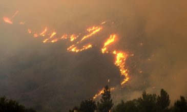 «Τεράστια» πυρκαγιά στην Εύβοια, κατευθύνεται στα Ψαχνά