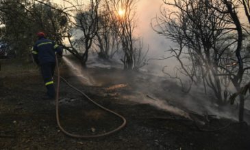 Υπό έλεγχο η φωτιά στην Εύβοια μετά από ολονύχτια μάχη με τις φλόγες