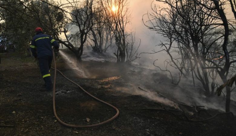 Υπό έλεγχο η φωτιά στην Εύβοια μετά από ολονύχτια μάχη με τις φλόγες