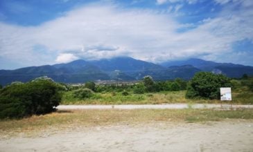 Συνταξιούχος περιπολεί 11 χρόνια γύρω από τον Όλυμπο για φωτιές