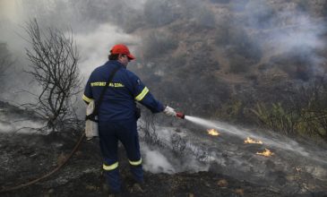 Σε ύφεση η πυρκαγιά στην Εύβοια