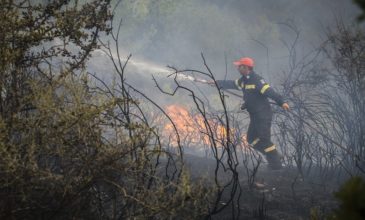 Φωτιά σε δύσβατη περιοχή στο Σκρα Κιλκίς