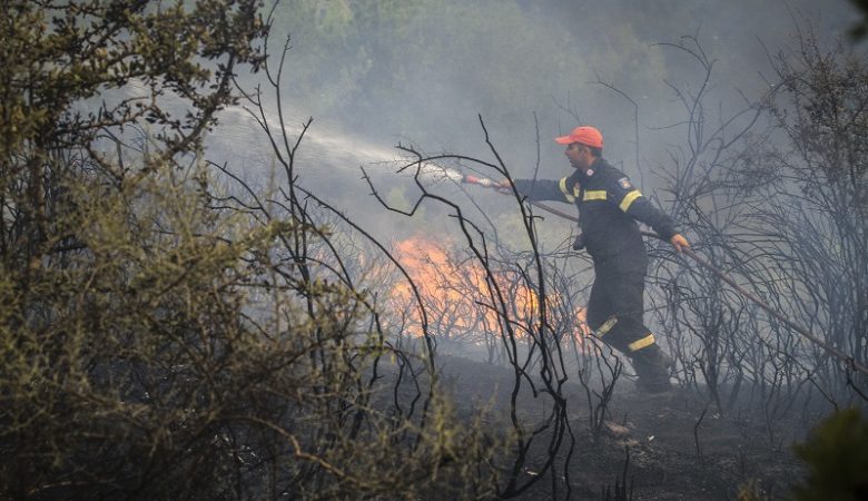 Σε εξέλιξη πυρκαγιά στο δάσος Δραγουντέλι, στη Βουρβουρού Χαλκιδικής