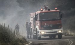 Λιβαδειά: Απανθρακωμένη σορός άνδρα βρέθηκε μετά από κατάσβεση πυρκαγιάς σε χωράφι