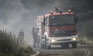 Πυρκαγιά σε δασική έκταση στην ανατολική Μάνη