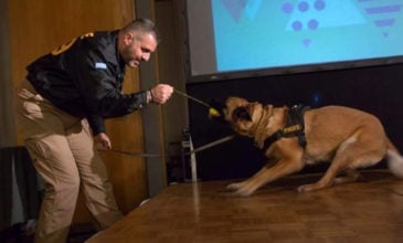 Το αντίο της Ελληνικής Αστυνομίας στον «Anuk»