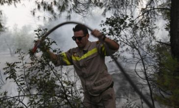 Αρχές του 2019 οι αποζημιώσεις για τις πυρκαγιές στην Εύβοια