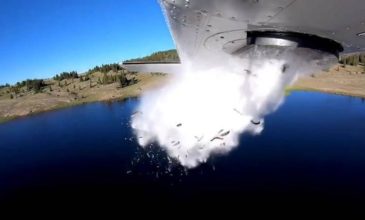 Αεροπλάνο ρίχνει χιλιάδες μικροσκοπικά ψάρια σε λίμνη