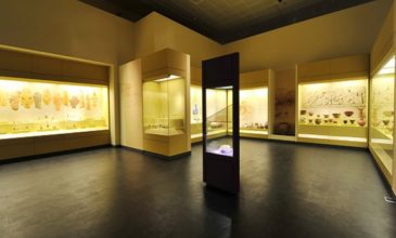Δύο ελληνικά μουσεία υποψήφια για το «Ευρωπαϊκό Μουσείο της Χρονιάς»