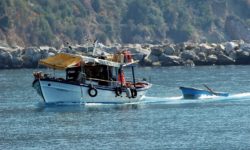 Κατεπείγουσα ερώτηση Βόζεμπεργκ για τους τούρκους ψαράδες στο Αιγαίο