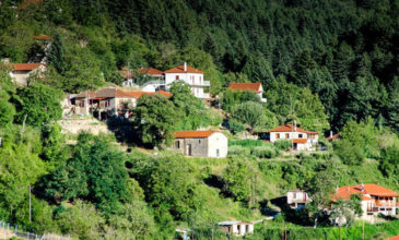 Ζαρούχλα, ένα χωριό πνιγμένο στο πράσινο και κρυμμένο μέσα στα έλατα