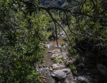 «Πήχτρα» στα αντιβιοτικά είναι πολλά ποτάμια της Γης