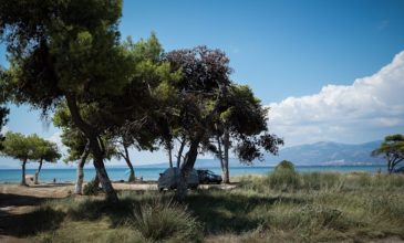 Τι συμβαίνει στο Σχινιά και έχει «πέσει θανατικό» στα ψάρια